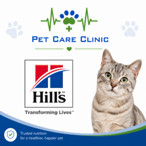 Hills - Dry Cat Food