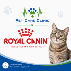 Royal Canin - Dry Cat Food